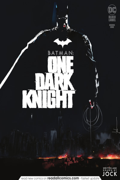 Batman: One Dark Knight